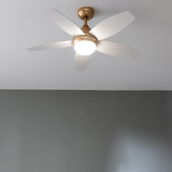 Cecotec Takfläkt med lampa EnergySilence Aero 4200 GoldLightWood