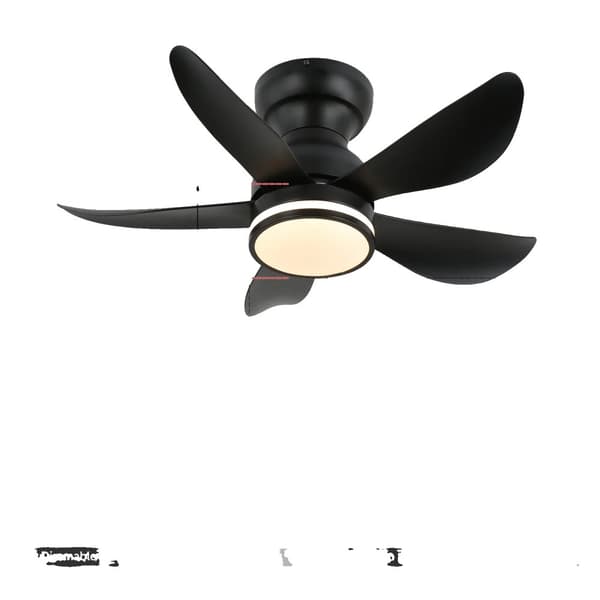 Takfläktlampa, 6-hastighetskontroll, fjärrkontroll, dimbar belysning,30tum RBG, 110-240V