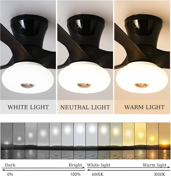 OBOSOE Tyst Takfläkt med Lampa och Fjärrkontroll – 80 cm LED Fläktlampa för Kök & Kontor