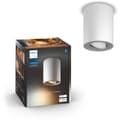 Miniatyrbilde 1 av 4: Philips Hue WA Pillar Enkel Spot Utvidelse 5W Hvit
