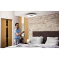 Miniatyrbilde 7 av 11: Philips Hue WA Still Taklampe Alu