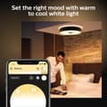 Miniatyrbilde 6 av 11: Philips Hue WA Fair Taklampe Hvit