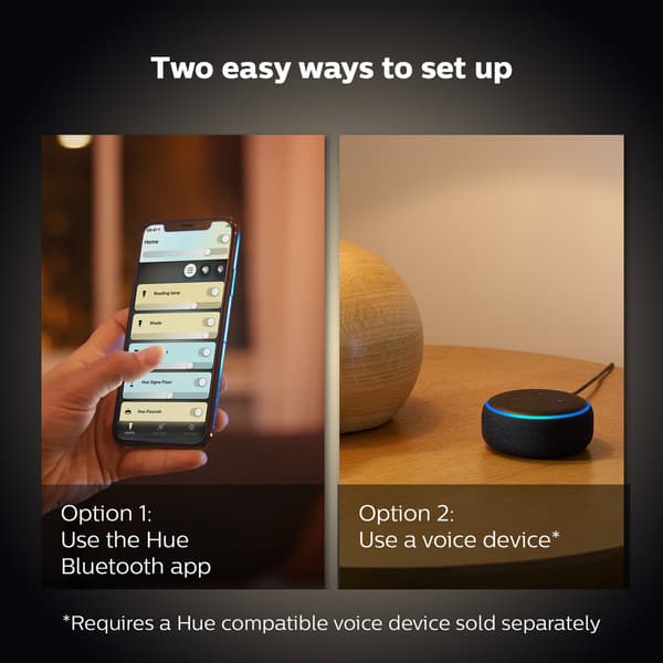 Philips Hue WA Amaze Pendellampe Sort