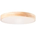 Miniatyrbillede 1 af 11: BRILLIANT Slimline LED væg- og loftlampe 49cm træbelysning / hvid indendørsbelysning, loftbelysning, -funktionel | 1x 60W LED integreret, (lysstrøm: 4