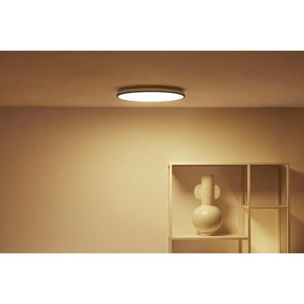 WiZ Rune Taklampe 21W Sort