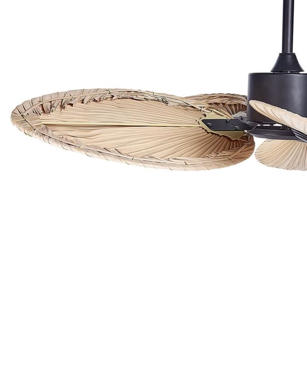 Takfläkt Metall Svart Naturlig Hastighetsreglering Timer Vardagsrum Sovrum Modern Skandinavisk Design