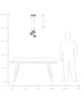 Miniatyrbild 9 av 9: Taklampa Transparenta Glasskärmar Mässing Järn 3 Lampor Modern Design Heminredning Tillbehör Vardagsrum