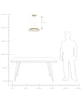 Miniatyrbild 8 av 8: Hängande lampa Guld Metall Järn Hängande Ljus Glasskärm Rund Form Modern Glamour Belysning Vardagsrum Matsal Sovrum