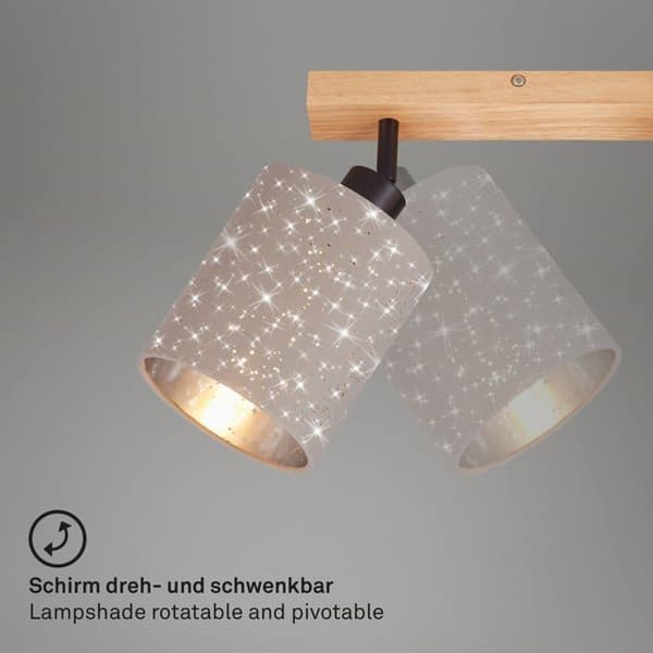 Briloner taklampa - 2078-031