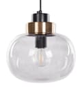 Miniatyrbild 7 av 10: Taklampa Grå Transparent Glasskärm Svart Järn 4 Ljus Modern Design Heminredning Vardagsrum