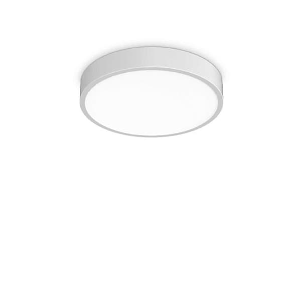 RAY pl, taklampa d60, Ideal