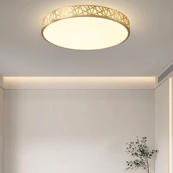 OBOSOE 40cm 24W LED-kattovalaisin, moderni lasi- ja metallikattovalaisin makuuhuoneen keittiön eteiseen