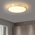 Pikkukuva 7 / 8: OBOSOE 40cm 24W LED-kattovalaisin, moderni lasi- ja metallikattovalaisin makuuhuoneen keittiön eteiseen