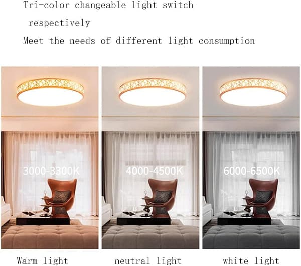 OBOSOE 40cm 24W LED-kattovalaisin, moderni lasi- ja metallikattovalaisin makuuhuoneen keittiön eteiseen