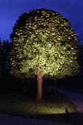 Miniatyrbild 4 av 8: LED-lampa E27 Spotlight Outdoor 15W. Varmvit 1100Lm