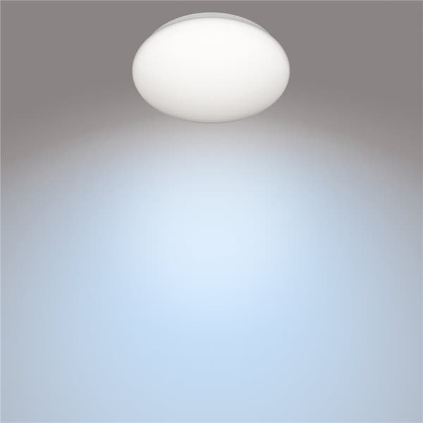 Philips CL200 Plafond 250mm 10W 1100lm