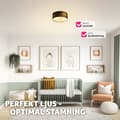 Miniatyrbild 7 av 11: Taklampa Circum, plafond i linne - svart