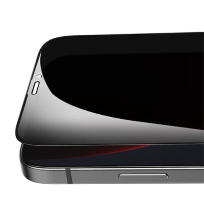 Banks VPro Privacy Protector (iPhone 12/12 Pro)