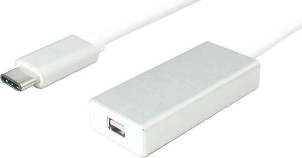 Secomp 12.99.3225 0,1m USB C Mini DisplayPort Sølv, Hvid videokabeladapter