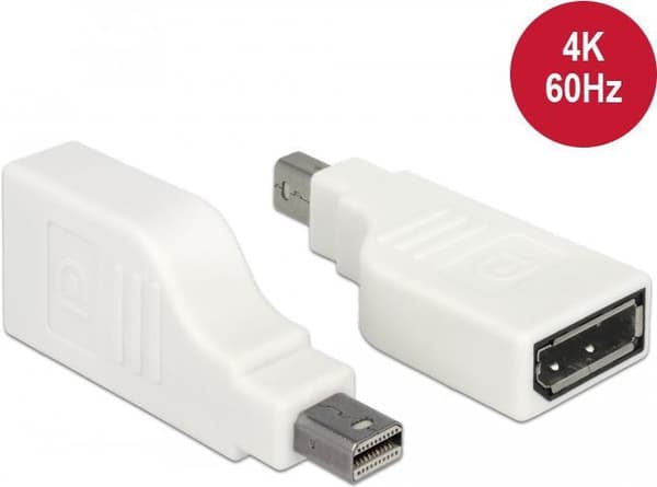 DeLOCK - DisplayPort-adapter - Mini DisplayPort (M) til DisplayPort (W) - DisplayPort 1.2 - 4K-understøttelse - hvid (65867)