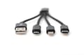 Miniatyrbillede 2 af 6: DIGITUS USB ladekabel USB A - Lightning+Micro B+Type-C M/M/M/M 0,15m, 3 i 1 kabel, CE, guld, bl.