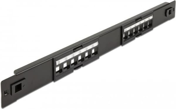 Delock - Patch-paneeli (tyhjennyslevy) - telineeseen kiinnitettävä - musta - 1U - 48,3 cm (19") - 12 porttia (66821)