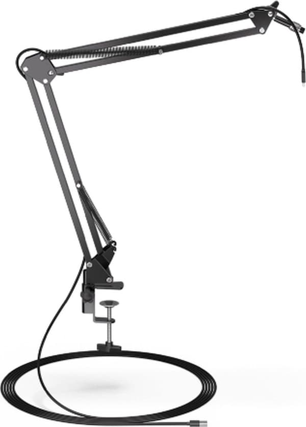 Endorgy Mic AXIS Streaming (EY1B006)