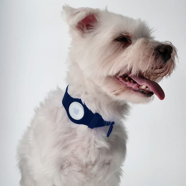 Bizon Case Locator Pets -kotelo Apple AirTagille, tummansininen