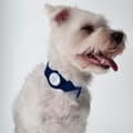 Pikkukuva 4 / 6: Bizon Case Locator Pets -kotelo Apple AirTagille, tummansininen