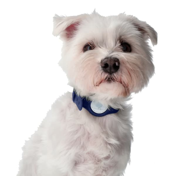 Bizon Case Locator Pets -kotelo Apple AirTagille, tummansininen