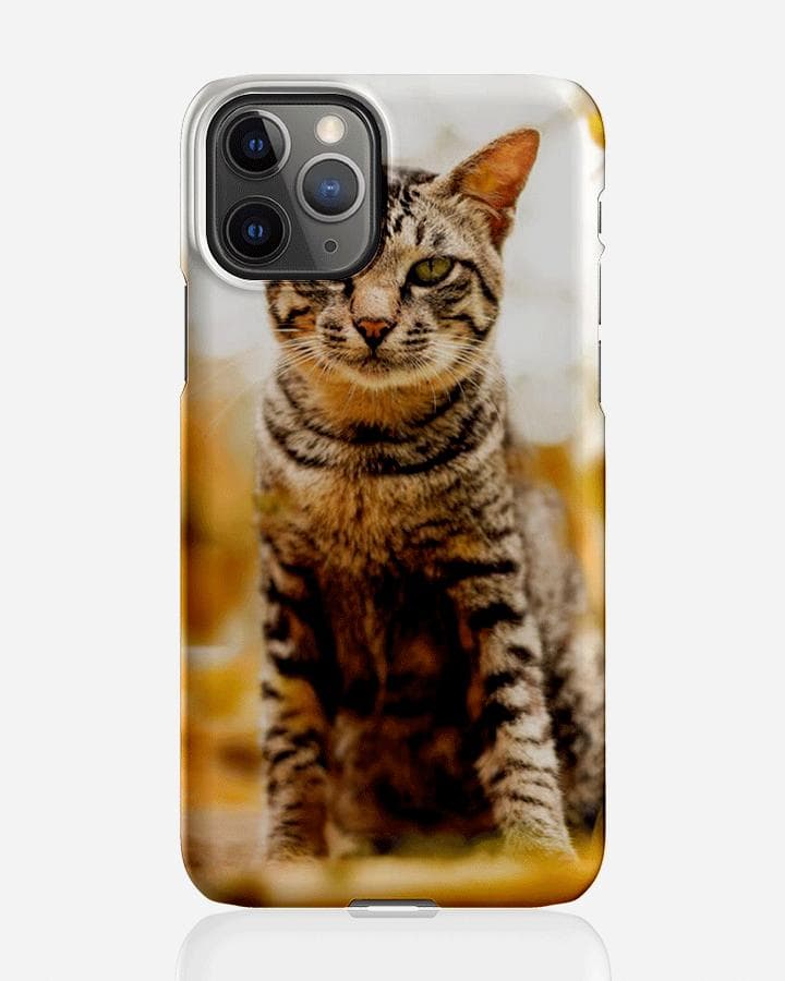 Designer skal till Apple iPhone 11 Pro - Pat2537