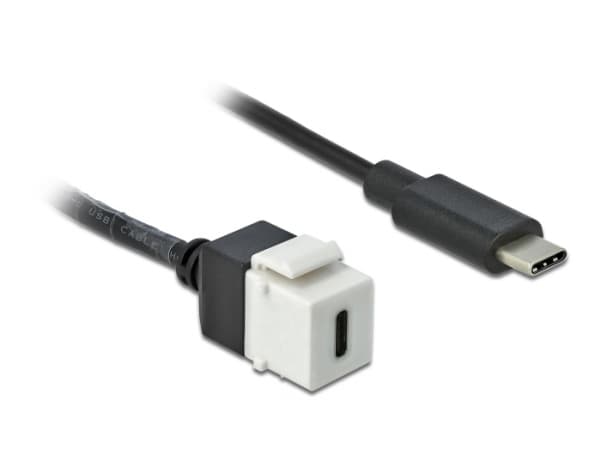 DeLOCK 86399, Tasainen, Musta, Valkoinen, USB C, USB C, Naaras, Uros