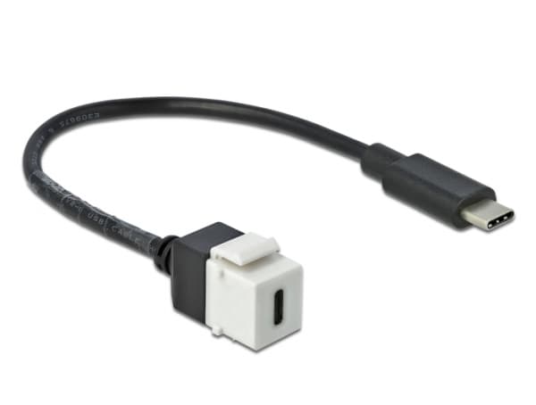 DeLOCK 86399, Tasainen, Musta, Valkoinen, USB C, USB C, Naaras, Uros