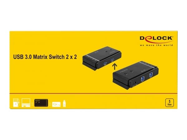 Delock USB 3.0 Matrix Switch 2 x 2 - USB-växel - skrivbordsmodell - Växelström 100 - 240 V