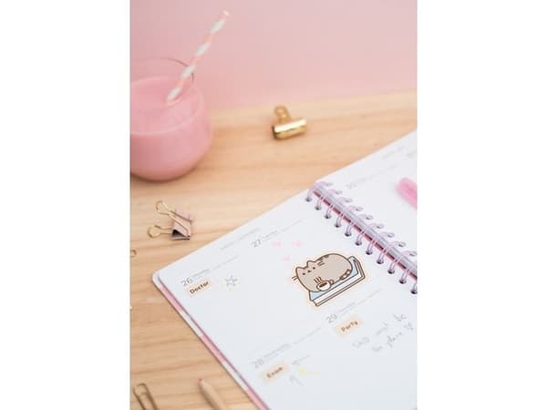 Pusheen Pusheen - Planeringskalender 2019/2020 (14 x 16 cm) universal
