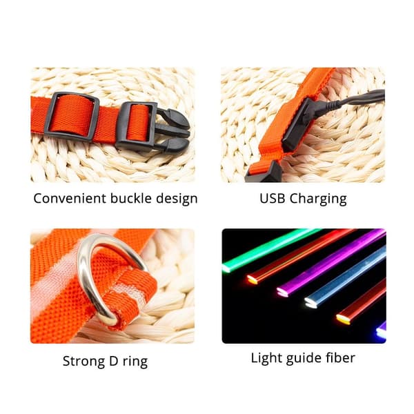 Hund led-säkerhetshalskrag blå