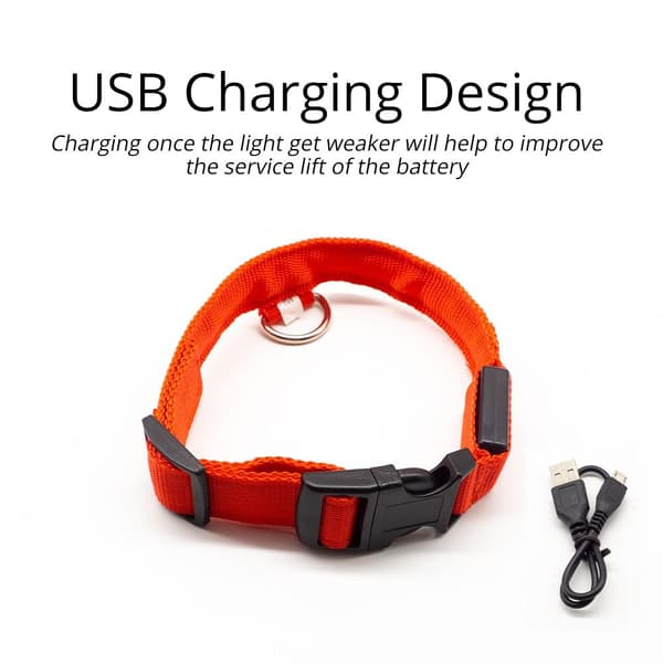 Hund led-säkerhetshalskrag orange