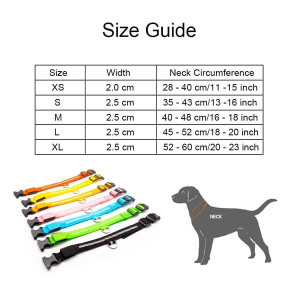 Hund led-säkerhetshalskrag orange