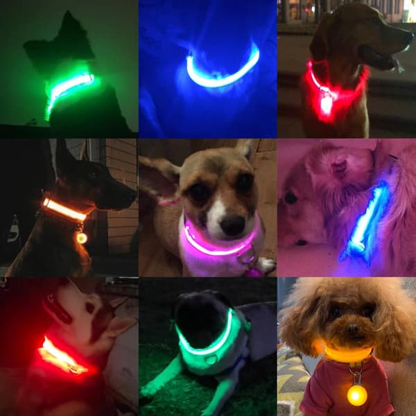 Hund led-säkerhetshalskrag orange