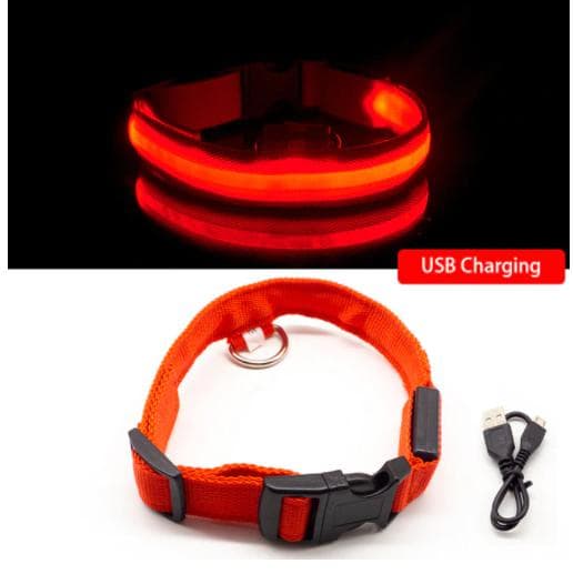 Hund led-säkerhetshalskrag orange