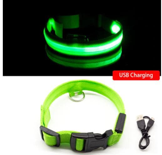 Hund led-säkerhetshalskrag grön