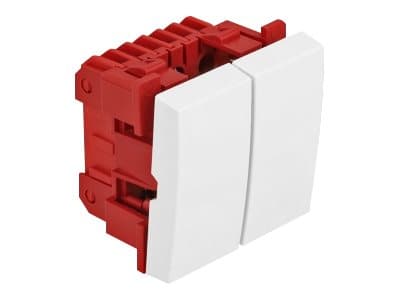 Delock - Easy 45 - trykknappbryter - 2 rockers - 10 A - AC 250 V - hvit, RAL 9003
