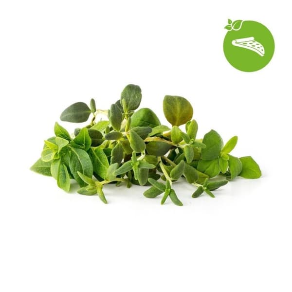 Click and Grow Smart Garden Refill 9-pack Italienska örter