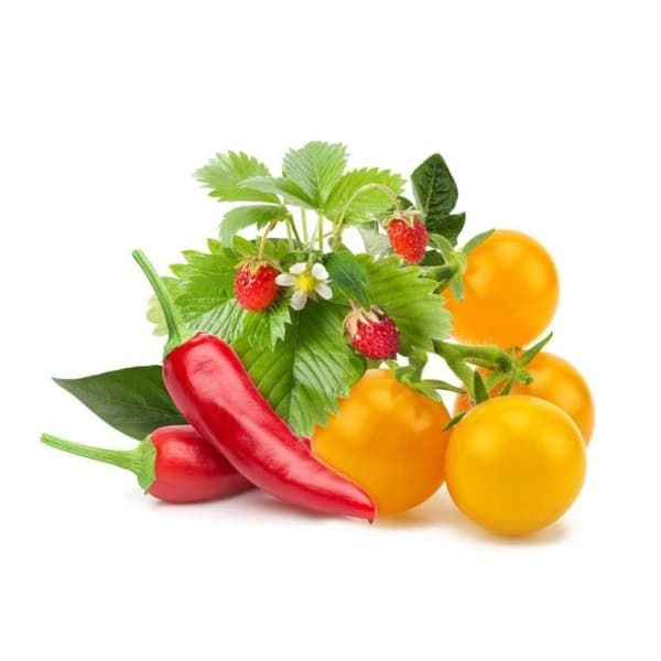 Click and Grow Smart Garden Refill 9-pack Frukt och grönsaksmix
