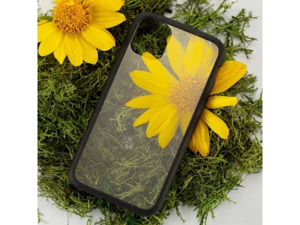 Pela Clear - Miljøvennlig iPhone 11-deksel - Svart