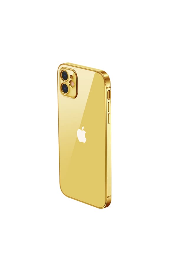 iPhone 12 Mobilskal med Kameraskydd - Guld/transparent