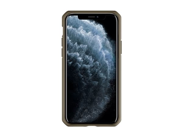 ITSKINS HybridSolid, Etui, Apple, iPhone 11 Pro, 14,7 cm (5.8"), Grønn, Gjennomsiktig