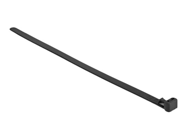Delock - Kabelfestebånd - heat-resistant, reusable - 30 cm - svart (en pakke 100)