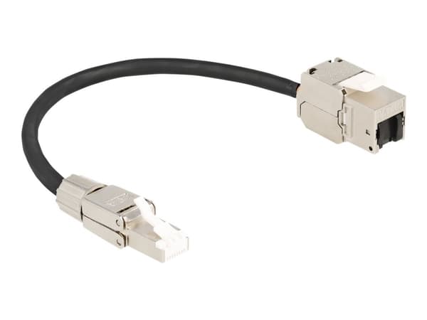 Delock - Nettverksforlengelseskabel - RJ-45 (hunn) til RJ-45 (hann) - 25 cm - S/FTP - CAT 6a - halogenfri - svart/sølv