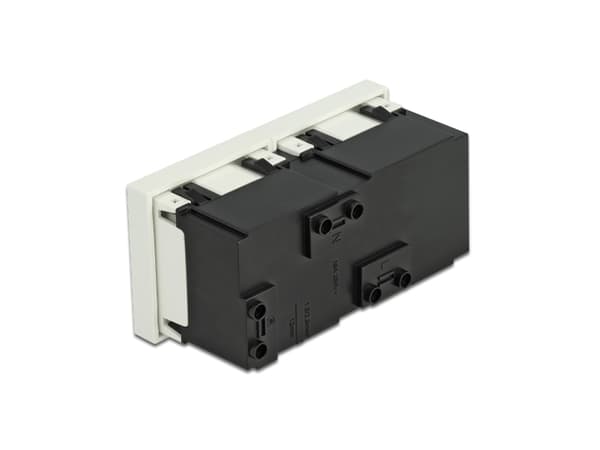 DeLOCK 81423, CEE 7/3, Ruuvit, Seinä, Valkoinen, ABS-synteettinen, Polykarbonaatti (PC), 250 V